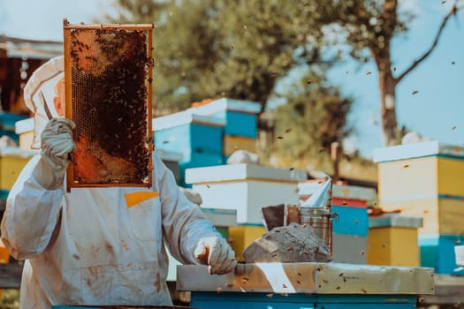 Beekeeper checking honey on the beehive frame in the field. Small business owner on apiary. Natural healthy food produceris working with bees and beehives on the apiary