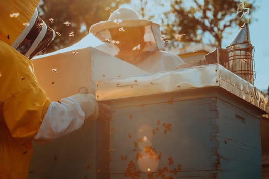 Beekeepers checking honey on the beehive frame in the field. Small business owners on apiary. Natural healthy food produceris working with bees and beehives on the apiary