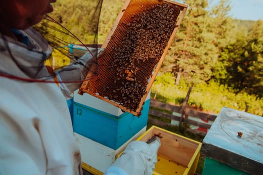 Beekeeper checking honey on the beehive frame in the field. Small business owner on apiary. Natural healthy food produceris working with bees and beehives on the apiary