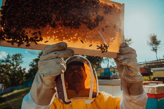 Wide shot of a beekeeper holding the beehive frame filled with honey against the sunlight in the field full of flowers.