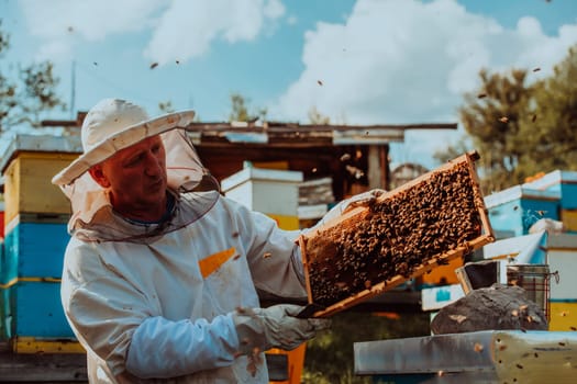 Beekeeper checking honey on the beehive frame in the field. Beekeeper on apiary. Beekeeper is working with bees and beehives on the apiary. Small business concept