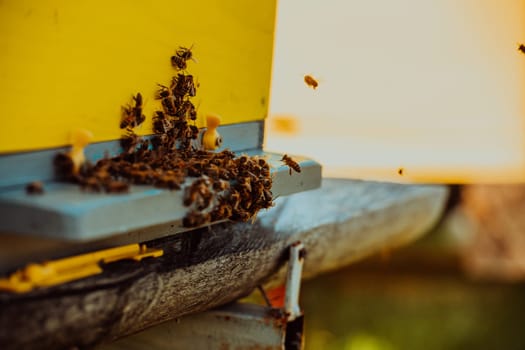 Close up photo of bees hovering around the hive carrying pollen.