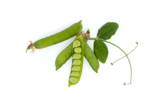 The pea pod is partially surrounded by a large green leaf with a pointed tip and irregularly shaped edges