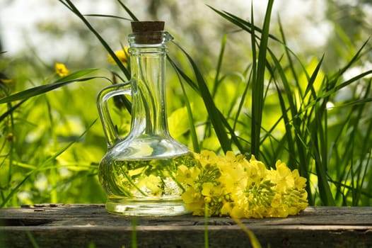 Clear glass bottle with a cork stopper is filled with oil placed on a weathered wooden surface next to bunch of vibrant yellow rapeseed flowers, background is blurred