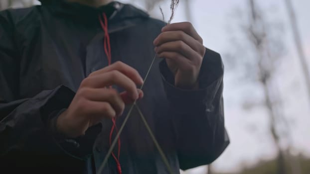 Close-up of man holding straw in forest. Stock. Young man walks in forest and tears up grass. Man picked grass out of boredom while walking in forest.