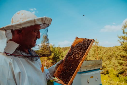 Beekeeper checking honey on the beehive frame in the field. Small business owner on apiary. Natural healthy food produceris working with bees and beehives on the apiary