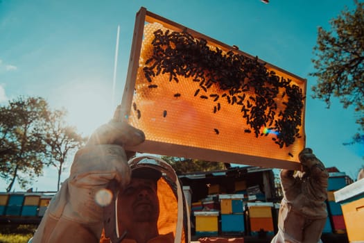 Wide shot of a beekeeper holding the beehive frame filled with honey against the sunlight in the field full of flowers.