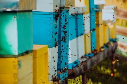 Close up photo of bees hovering around the hive carrying pollen.