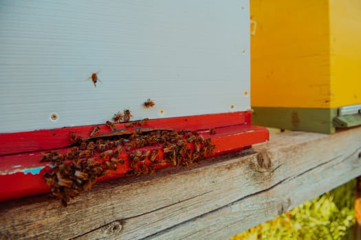 Close up photo of bees hovering around the hive carrying pollen.