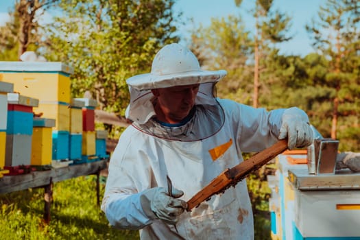 Beekeepers checking honey on the beehive frame in the field. Small business owners on apiary. Natural healthy food produceris working with bees and beehives on the apiary