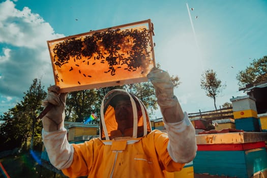 Wide shot of a beekeeper holding the beehive frame filled with honey against the sunlight in the field full of flowers.