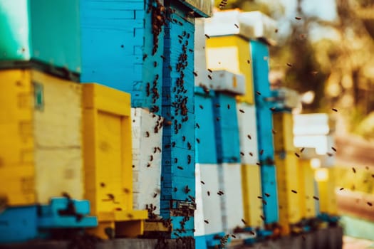 Close up photo of bees hovering around the hive carrying pollen.