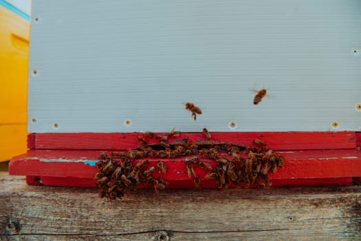 Close up photo of bees hovering around the hive carrying pollen.