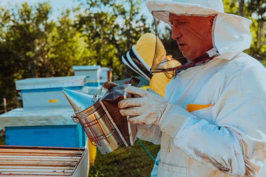 Beekeepers check the honey on the hive frame in the field. Beekeepers check honey quality and honey parasites. A beekeeper works with bees and beehives in an apiary. Small business concept