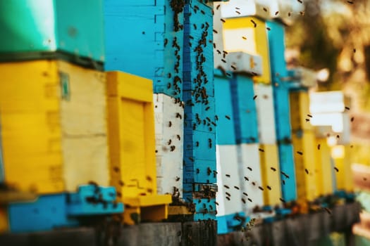 Close up photo of bees hovering around the hive carrying pollen.