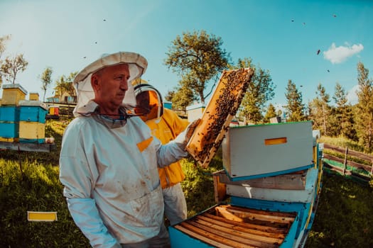 Beekeeper checking honey on the beehive frame in the field. Beekeeper on apiary. Beekeeper is working with bees and beehives on the apiary. Small business concept