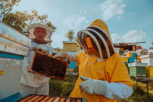 Beekeepers checking honey on the beehive frame in the field. Small business owners on apiary. Natural healthy food produceris working with bees and beehives on the apiary