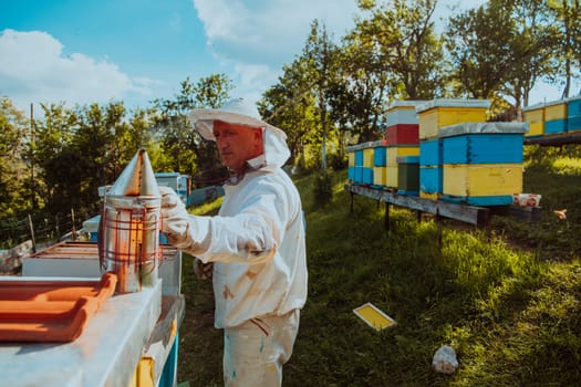 The beekeeper using smoke to calm the bees and begins to inspect the honey.