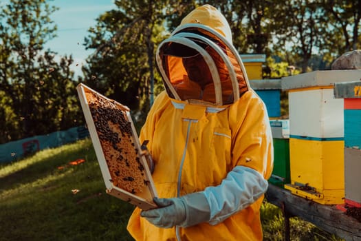 Beekeeper checking honey on the beehive frame in the field. Small business owner on apiary. Natural healthy food produceris working with bees and beehives on the apiary