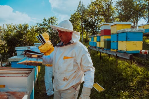 Beekeepers check the honey on the hive frame in the field. Beekeepers check honey quality and honey parasites. A beekeeper works with bees and beehives in an apiary. Small business concept