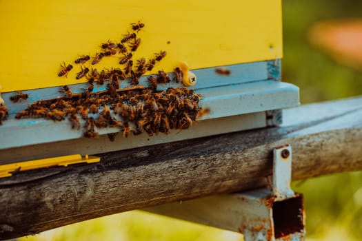 Close up photo of bees hovering around the hive carrying pollen.