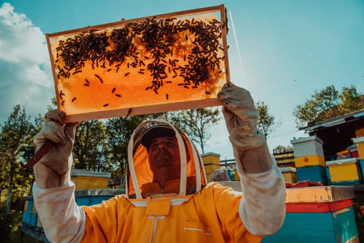 Wide shot of a beekeeper holding the beehive frame filled with honey against the sunlight in the field full of flowers.