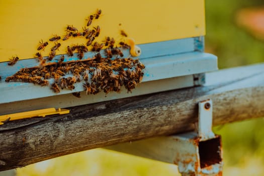 Close up photo of bees hovering around the hive carrying pollen.