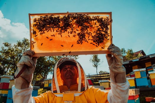 Wide shot of a beekeeper holding the beehive frame filled with honey against the sunlight in the field full of flowers.