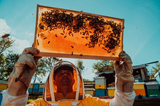 Wide shot of a beekeeper holding the beehive frame filled with honey against the sunlight in the field full of flowers.