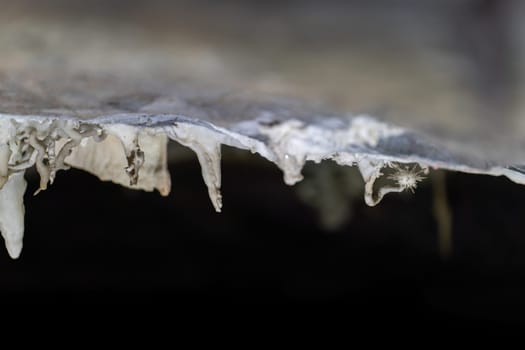 Close-up of stalactites with a hanging water droplet in a cave.