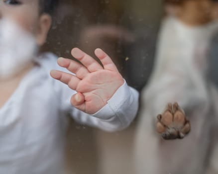 Close-up of baby boy's palm and paw of Jack Russell Terrier dog on patio window