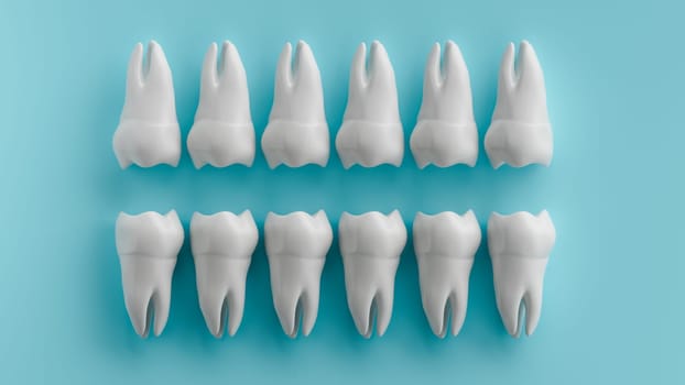 A 3D rendering of twelve white molars arranged in two rows against a light blue background.
