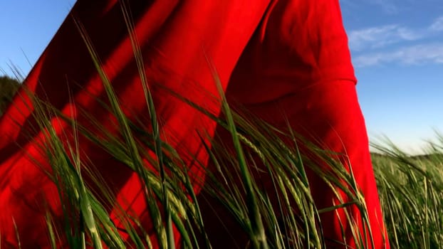 Young pretty girl woman meditating with closed eyes. Stock clip. Praying while standing in a field with a beautiful view on a windy summer day at sunset