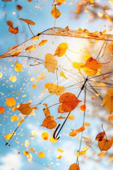 Autumn leaves are flying against the sky. Selective focus. nature.