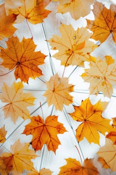 Autumn leaves are flying against the sky. Selective focus. nature.