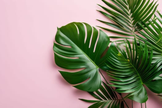 Vibrant stock image of green tropical plant leaves on pink backdrop. Various shapes and sizes create an engaging composition. Perfect for websites, blogs, or print materials.