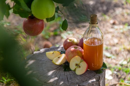 Apple cider vinegar in the garden. Selective focus. Food.