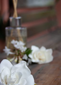 Jazmine flowers and aroma diffuser on rustic wooden background