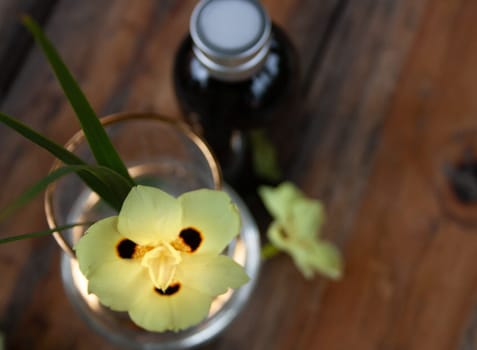 Aroma diffuser on wooden table with yellow floral decoration. Brown wooden background.Scenital photo