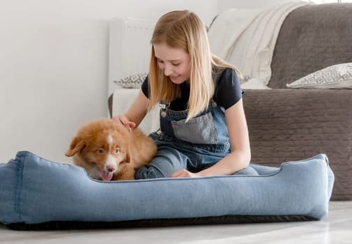 Small Girl With Toller Puppy Sits In Blue Dog Bed, Nova Scotia Duck Tolling Retriever