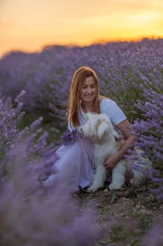 A woman sits in a field of lavender with a dog. The scene is peaceful and serene, with the woman and dog enjoying each other's company in the beautiful surroundings