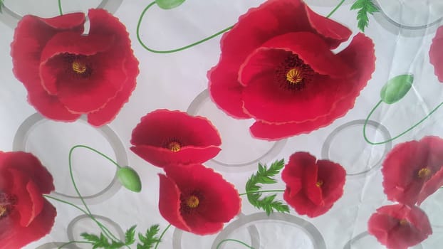 art background with red flowers on a white background, poppies. High quality photo