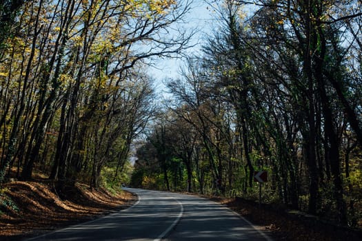 Turning a road in an autumn forest