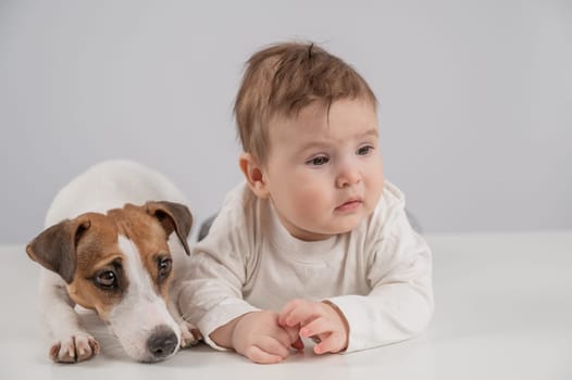 Cute baby boy and Jack Russell terrier dog lying in an embrace on a white background