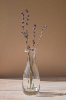 Dried lavender flowers in glass vase on neutral beige background. Minimal still life eco concept. Minimalistic interior decor with lavender flowers. Earth tones sustainability