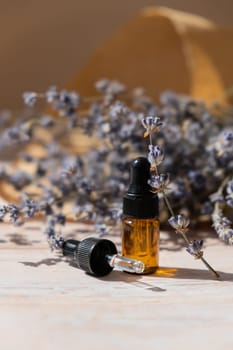 Dried lavender flowers with glass dropper of natural essential oil. Organic herbal aromatherapy healthy glass bottle. Home fragrance extract. Beauty care