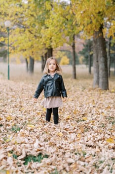 Little girl stands among fallen dry leaves in the autumn forest. High quality photo