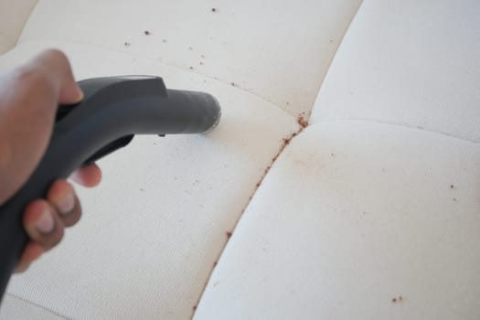 cleaning sofa with washing suction cleaner.