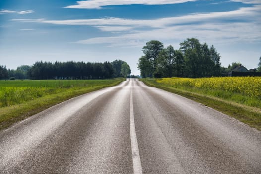 Long rural road extending towards horizon with clear blue sky and lush green fields, evoking a sense of journey and tranquility.