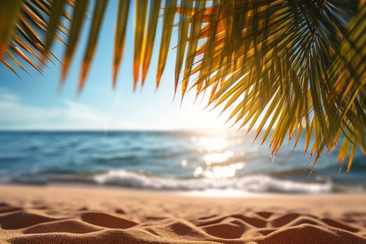 Palm leaf on sandy beach with sea and sky background. Summer vacation concept